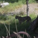 FITS_155 (May 04, 2019)